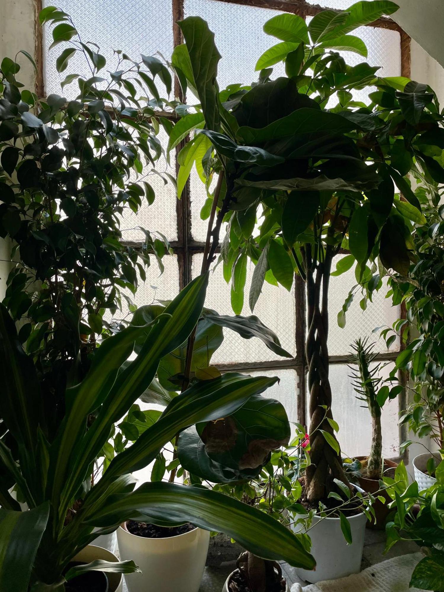 Lorenzo'S House Catania City Centre - Comfortable Large Apartment With 2 Bedrooms And 2 Baths, Close To Trains, Metro And Bus Station Екстер'єр фото